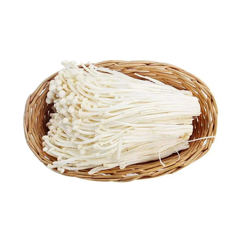 瓢虫鲜生金针菇（约）400g