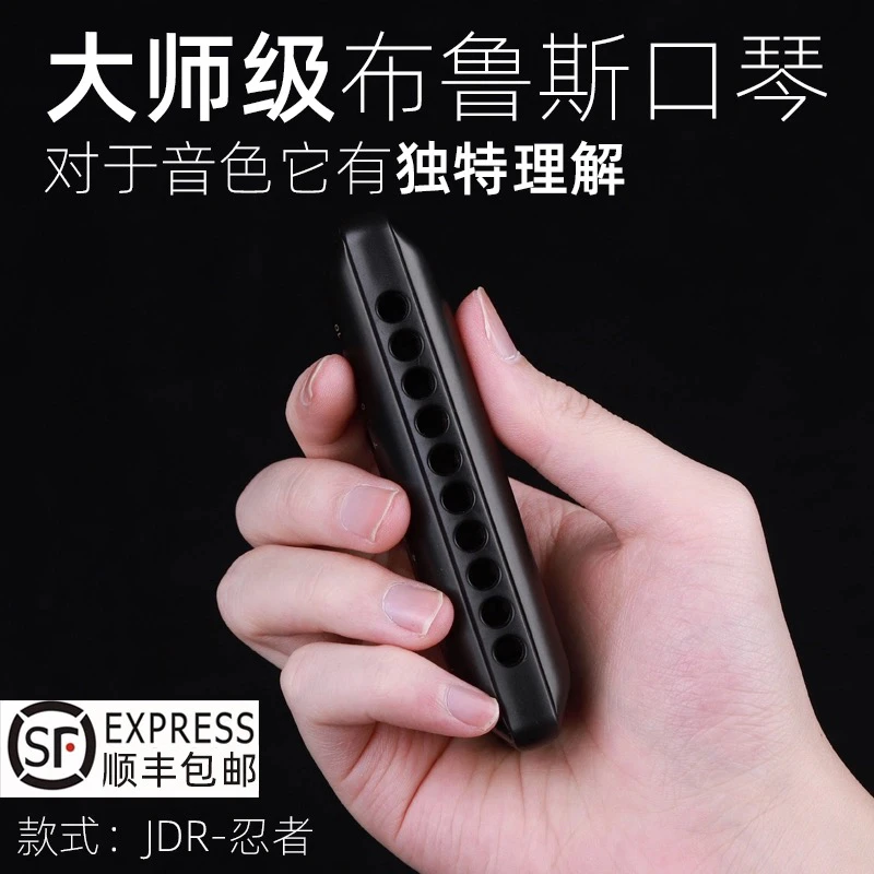 【初学畅吹】嘉德瑞忍者布鲁斯蓝调10十孔口琴C调圆孔Paddy
