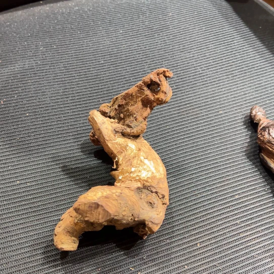 闲***哥黄花梨/降香黄檀老料