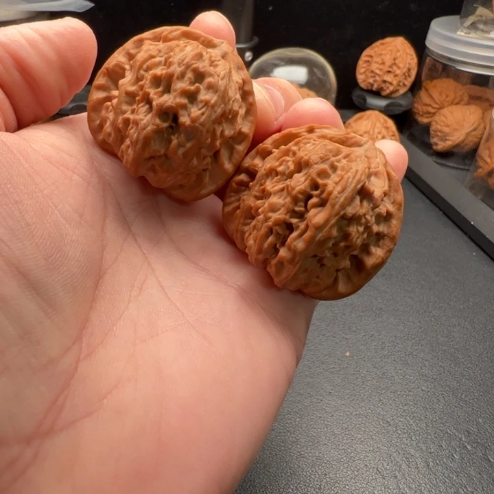 把件文玩核桃40白狮子