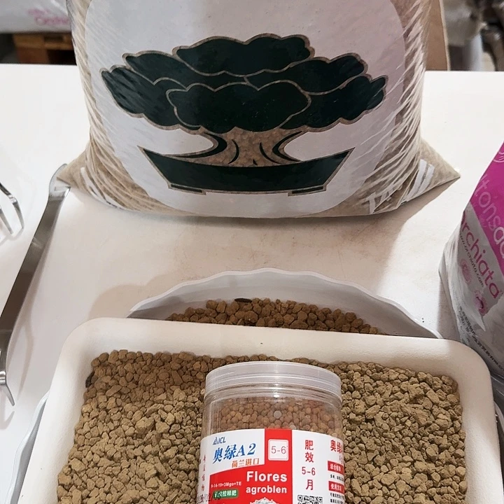 无花朵奥绿肥进口产品