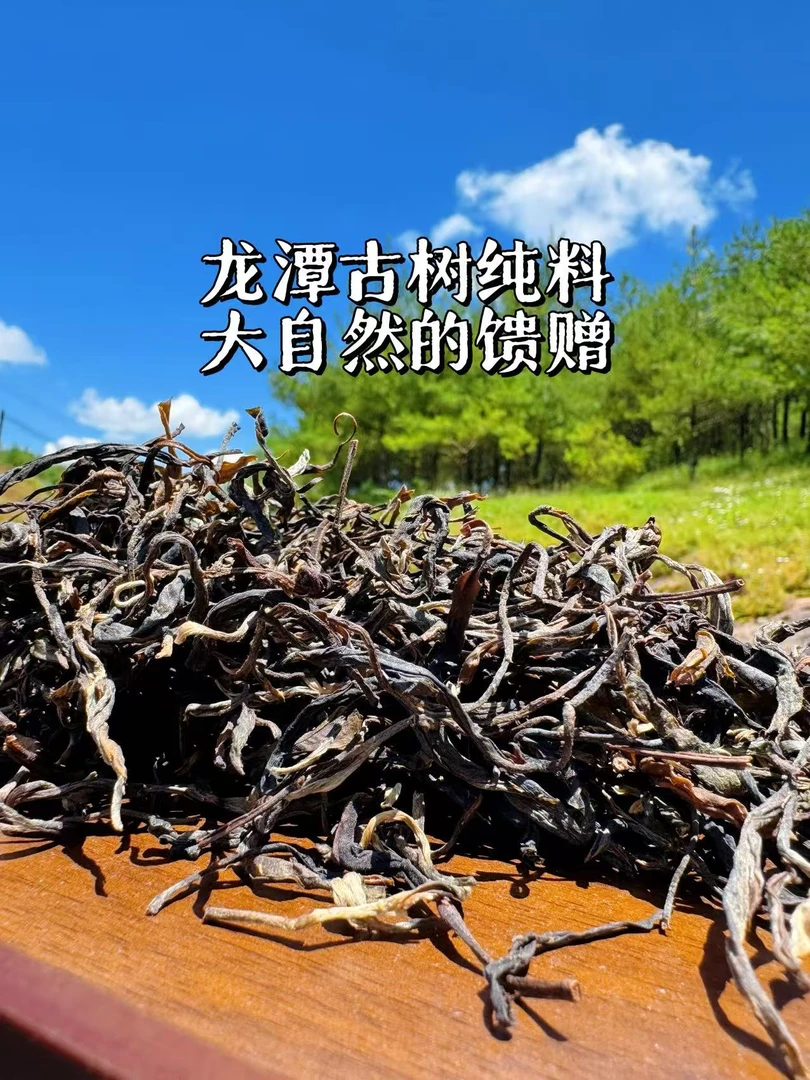 帕莎古树【龙潭】口粮茶-高香25年头春-春茶-古树纯料