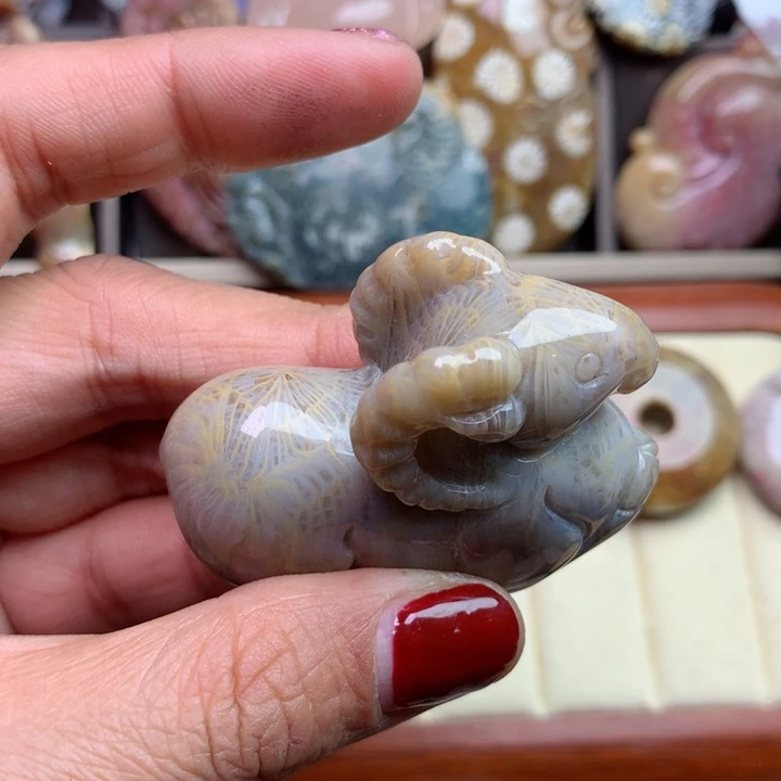 硅化珊瑚（珊瑚玉）颈饰未镶嵌阳****?