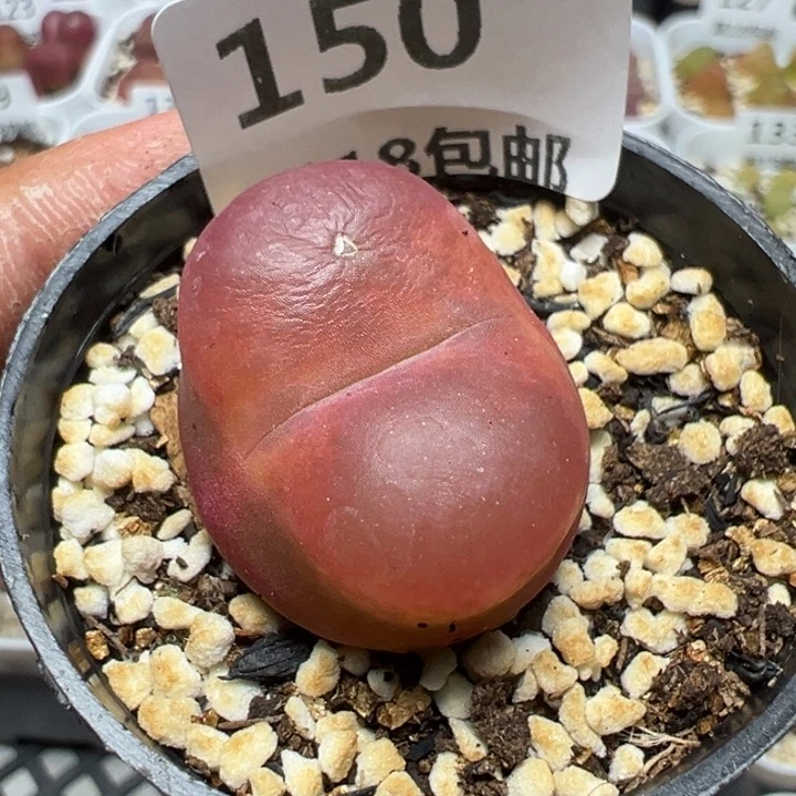 【闪购商品】 150。