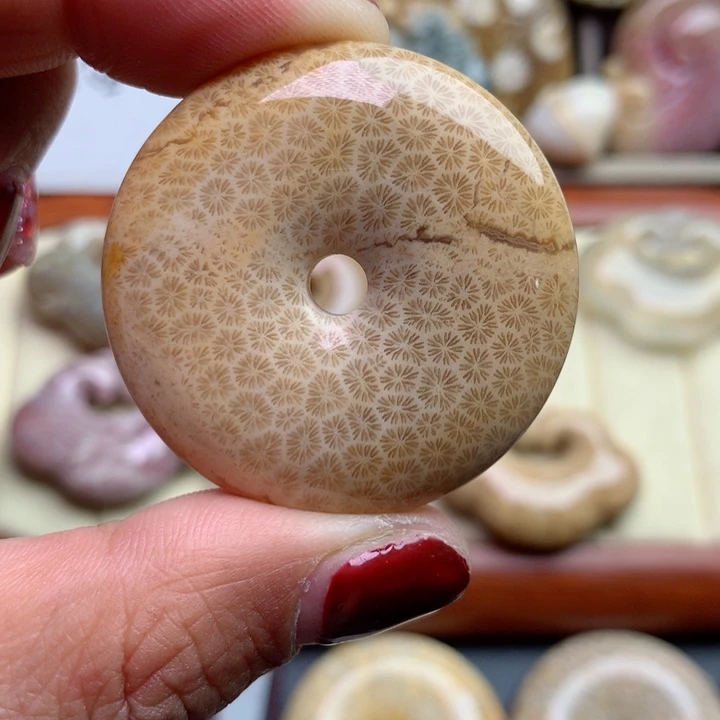 硅化珊瑚（珊瑚玉）颈饰未镶嵌