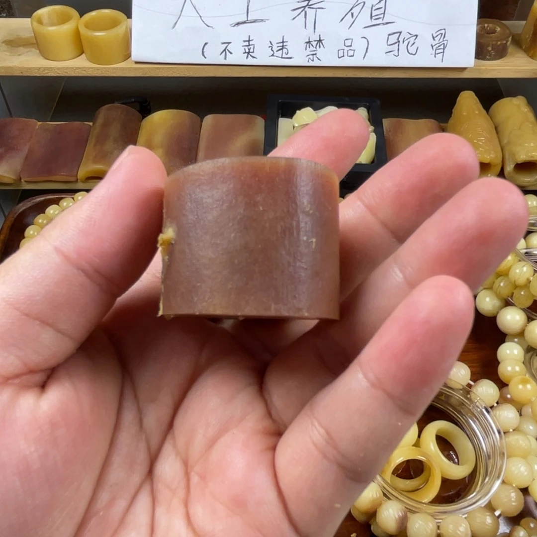 驼骨手串/手链骨头