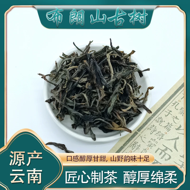 2024年布朗山春古树茶