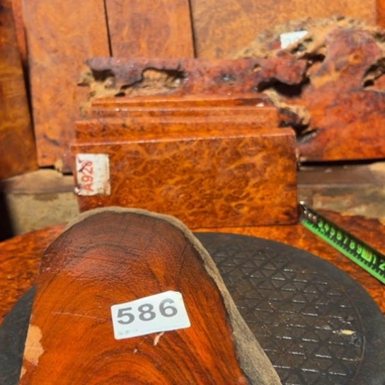 大果紫檀（缅甸花梨）