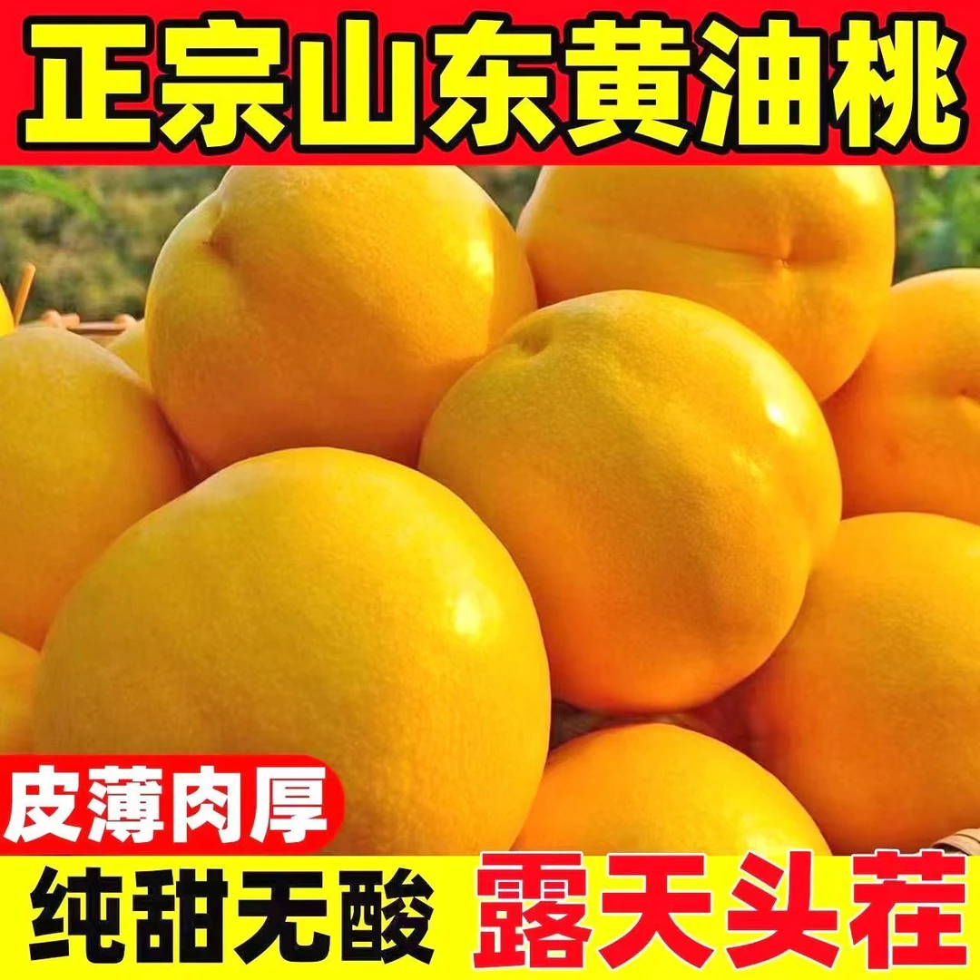 山东蒙阴黄金油桃纯甜新鲜水果应季脆甜3/4.5斤