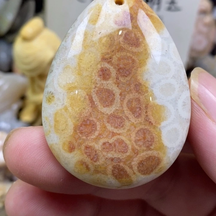 硅化珊瑚（珊瑚玉）未镶嵌颈饰