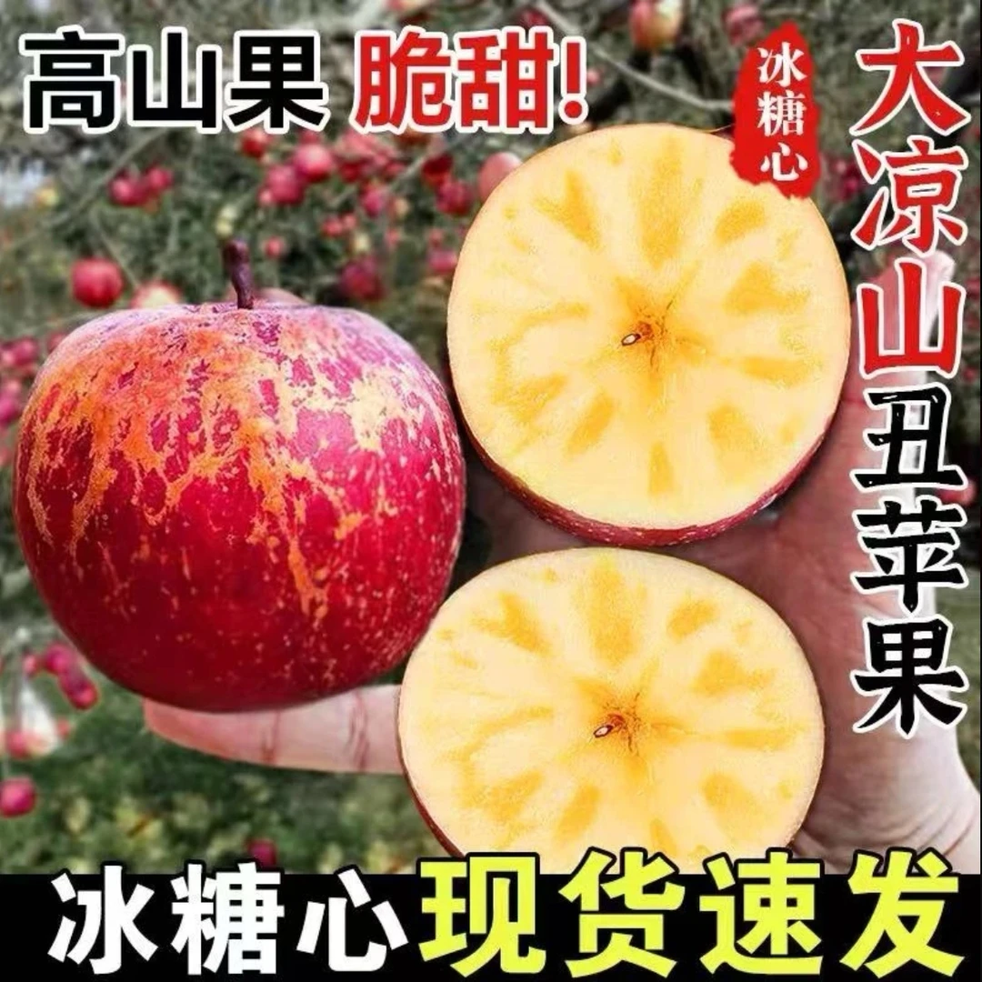 大凉山盐源冰糖心丑苹果新鲜现摘脆甜多汁当季水果