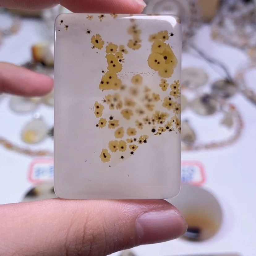 【闪购商品】玛瑙/玉髓颈饰合金