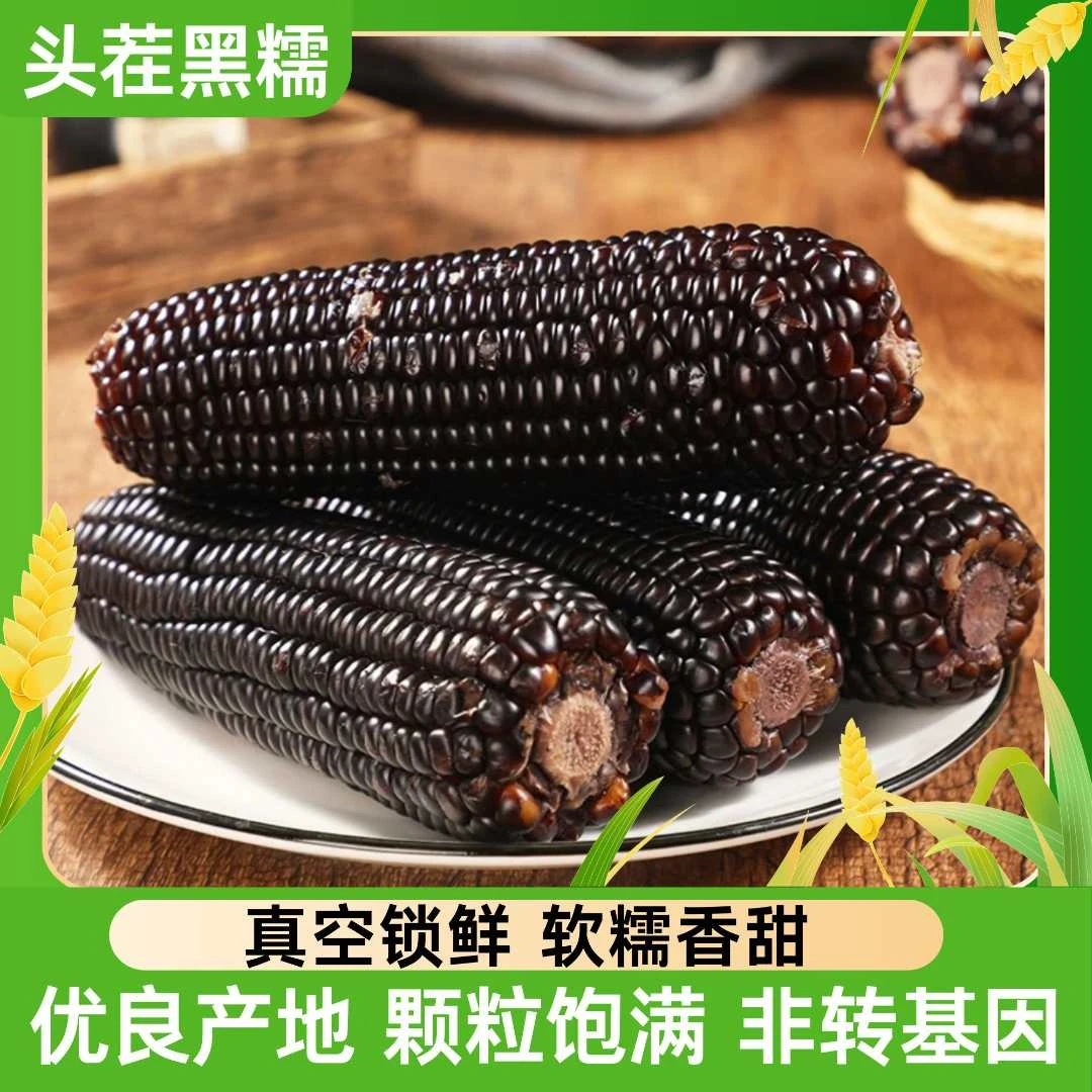 【试吃2支】24年东北新鲜黑糯玉米拍10送2一箱12支7-7.5斤左右J