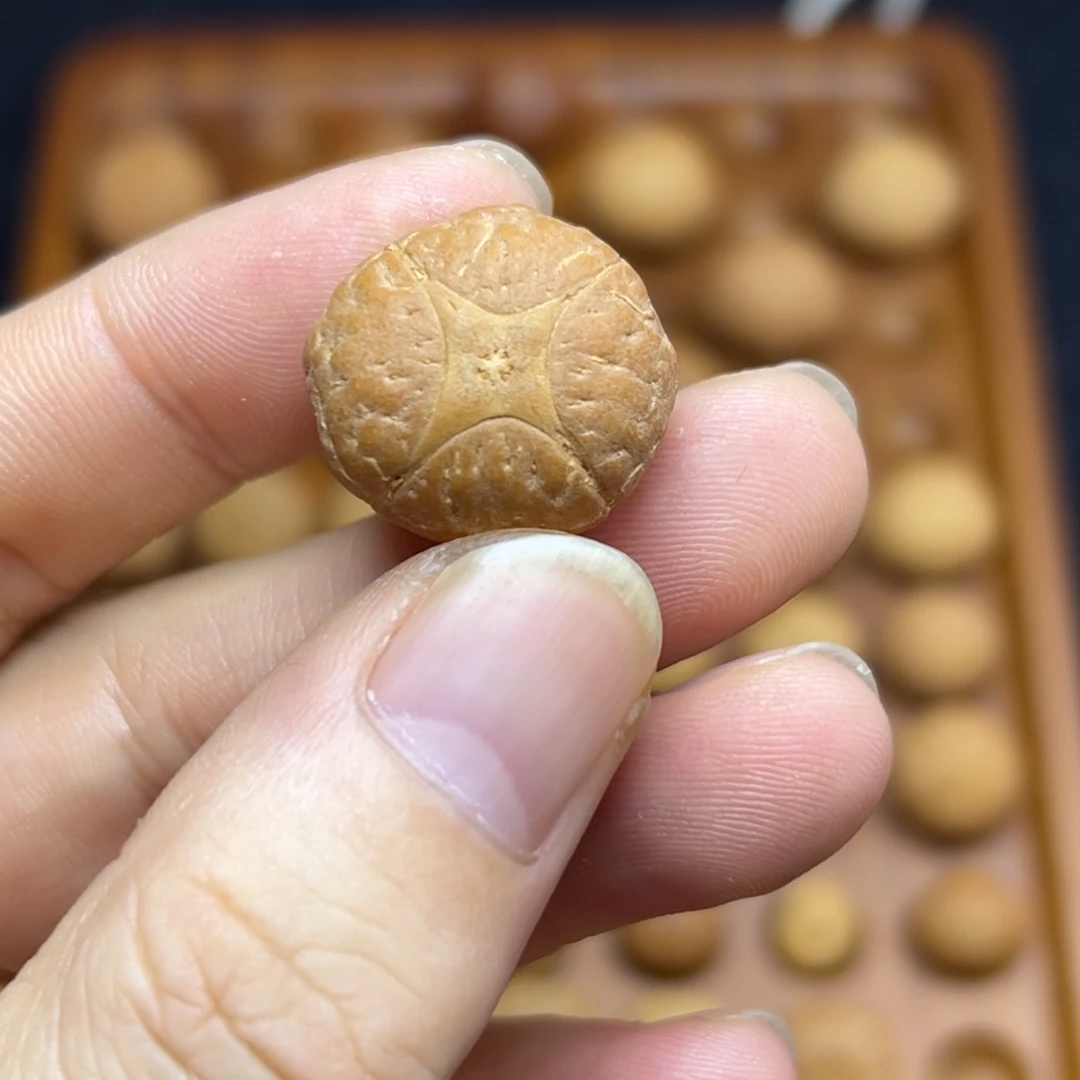 凤眼菩提手串21.6麒麟眼