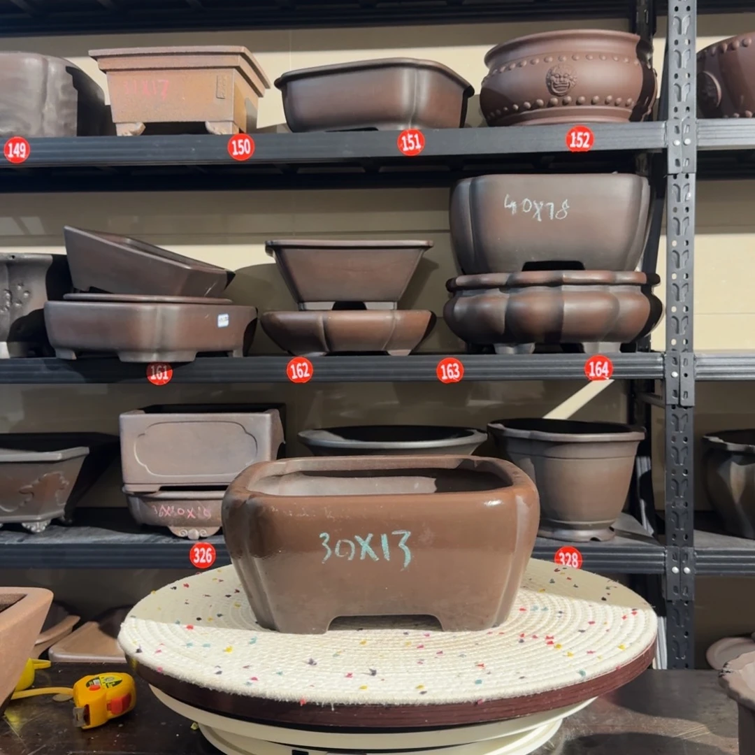 紫砂呜呜呜我的宝呜呜呜我的宝子