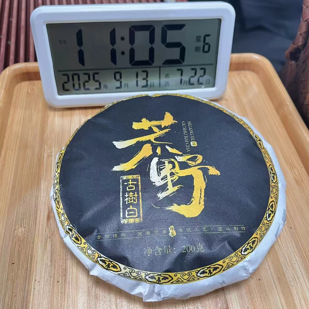 2025年荒野古树白茶饼  春  200克*5饼【777号】9-13