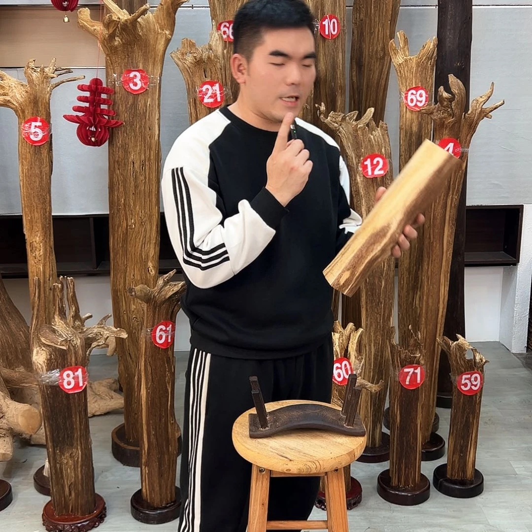 沉香摆件海南沉香摆件