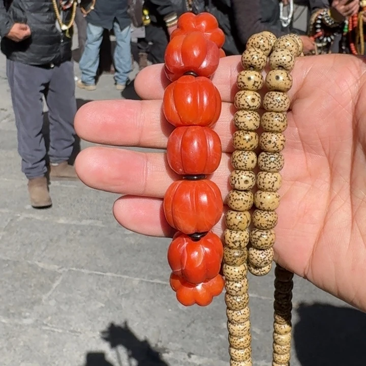 白玉菩提吊坠d***?菩提树等树木的生长发育过程