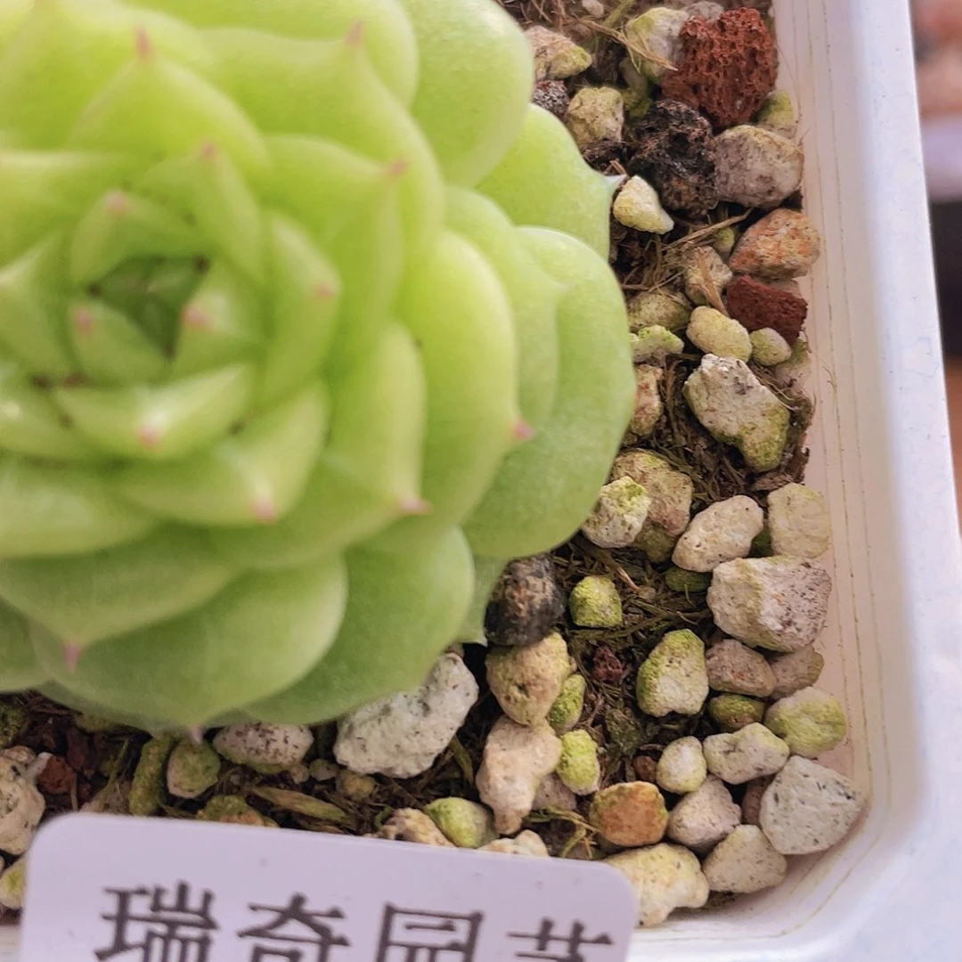 00000000000003量拍