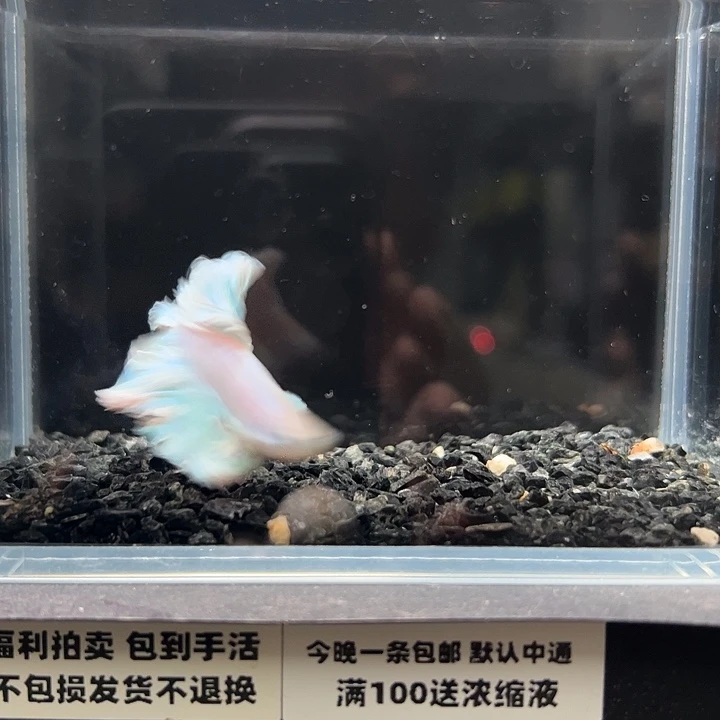 斗鱼跑单拉黑1日15