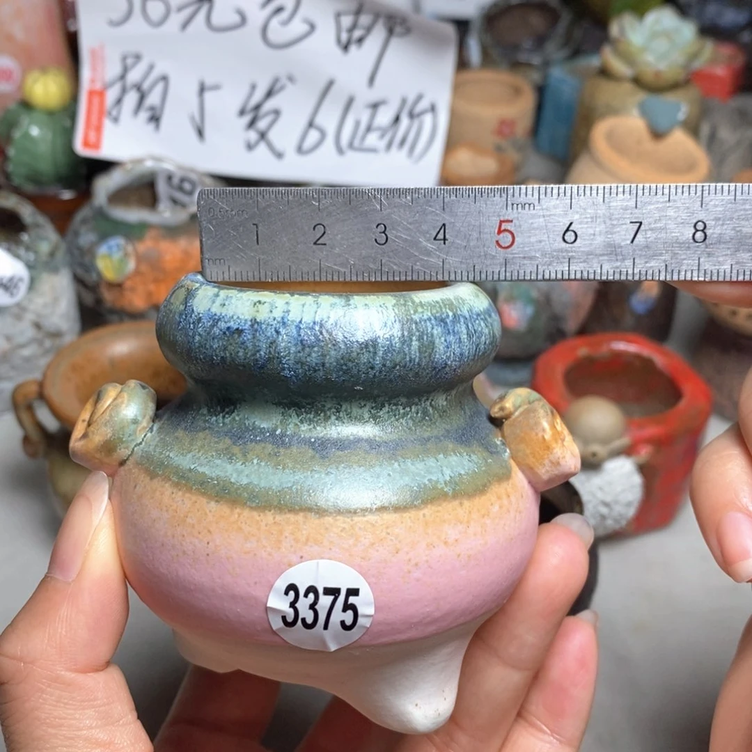 拍5送一个小礼物