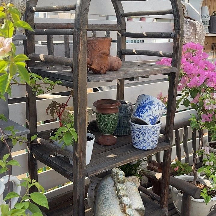 许纯的花房 拱门架子