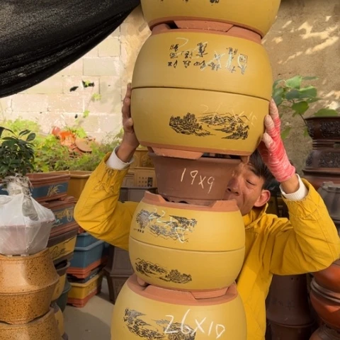 花盆紫砂特价包邮送盒子