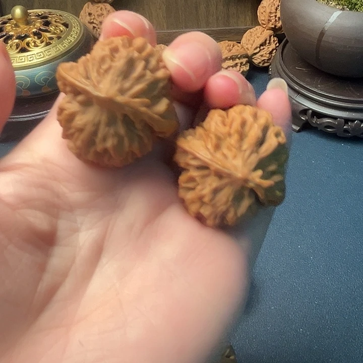 奔***n虫眼：木桃的叶子都