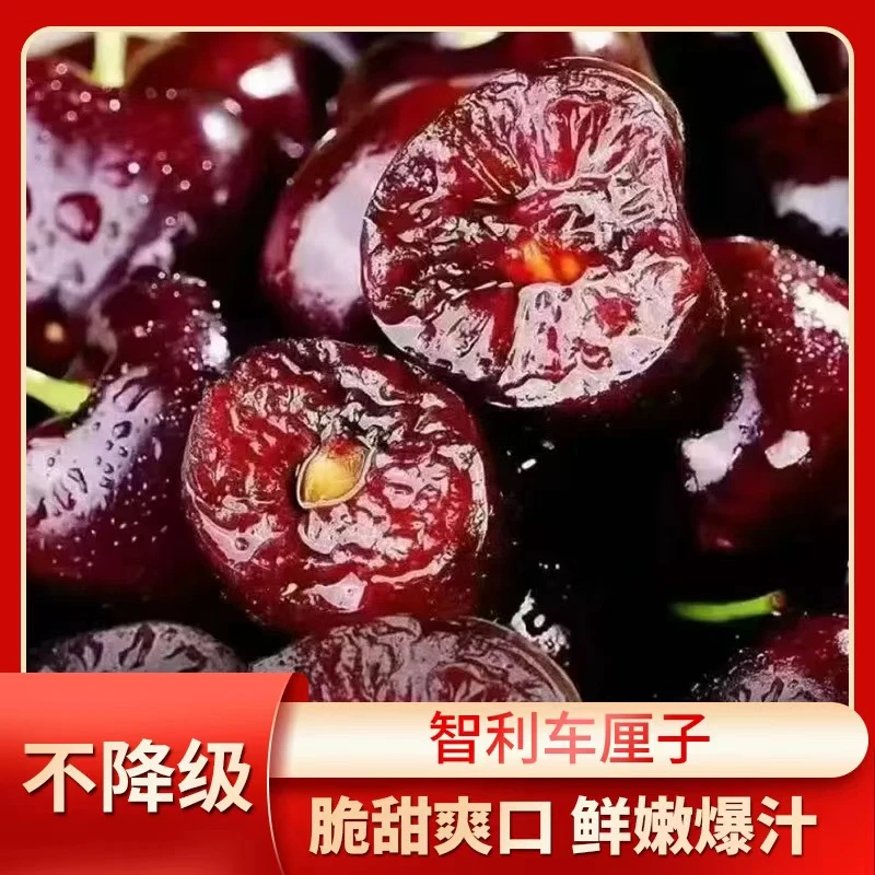 智利海运桑提娜进口车厘子2J-4J礼盒内附果径卡包邮