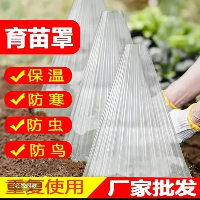 植物保护罩透明育苗罩巨厚防霜冻保暖防虫鸟菜苗保温罩透气防晒