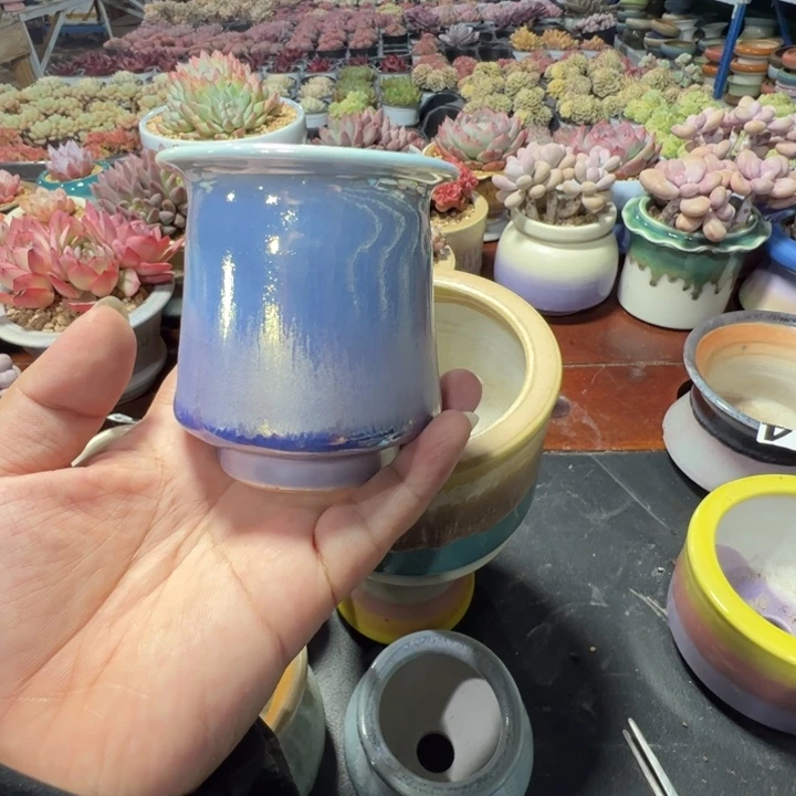 特价花盆满50发货内口5.5