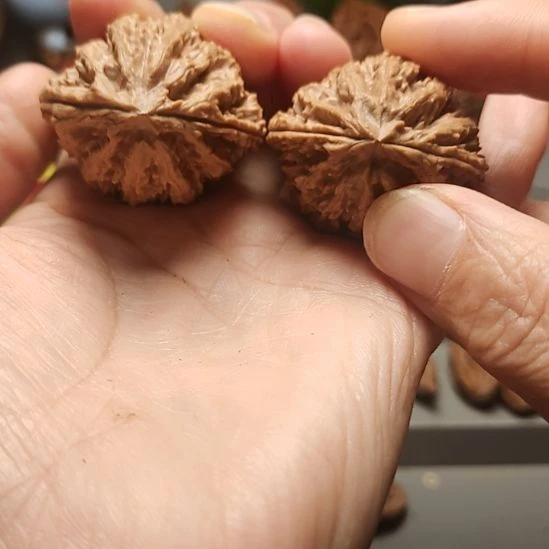 乌***拉文玩核桃吊坠蚂蚁金蟾