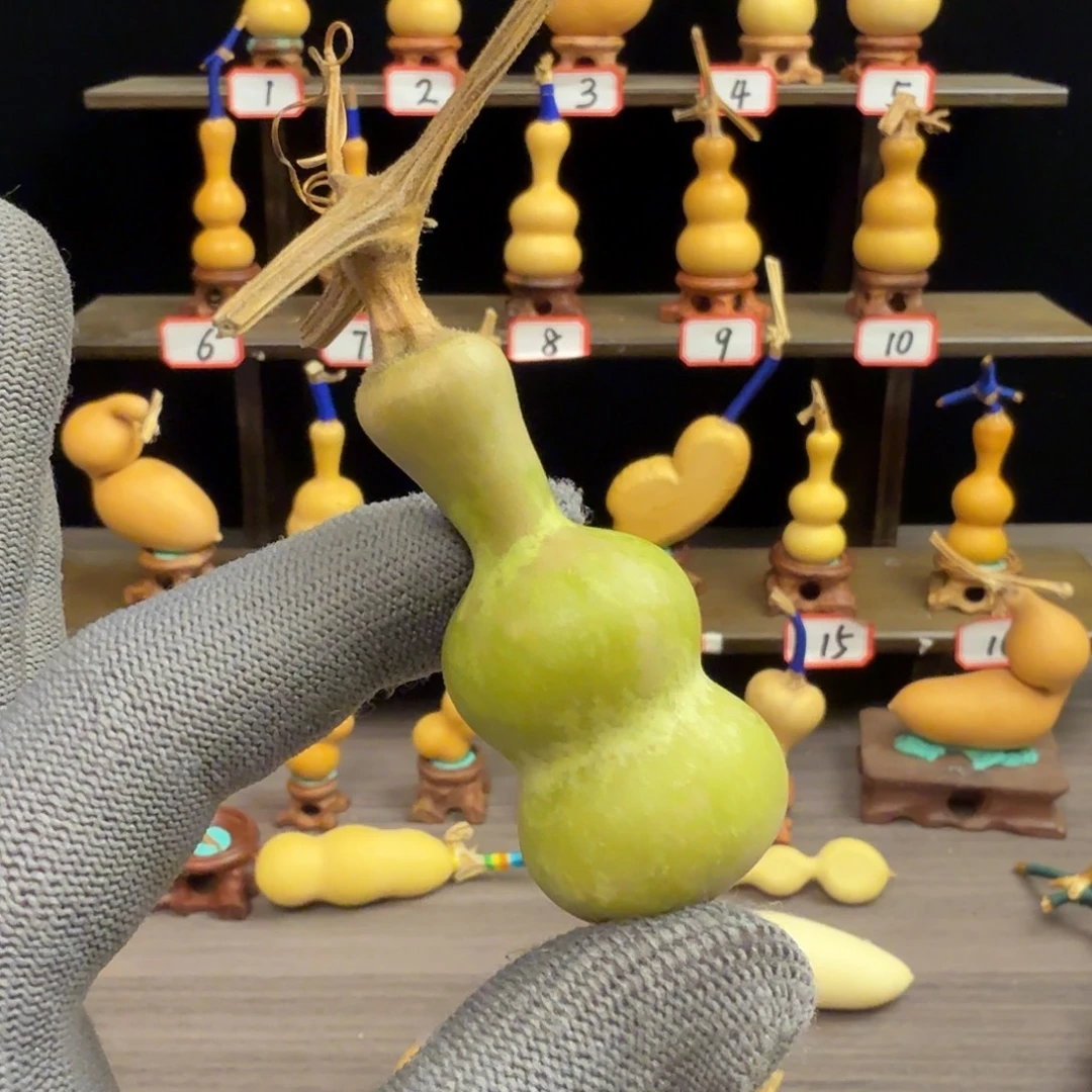 `***H木这个时候应该可以