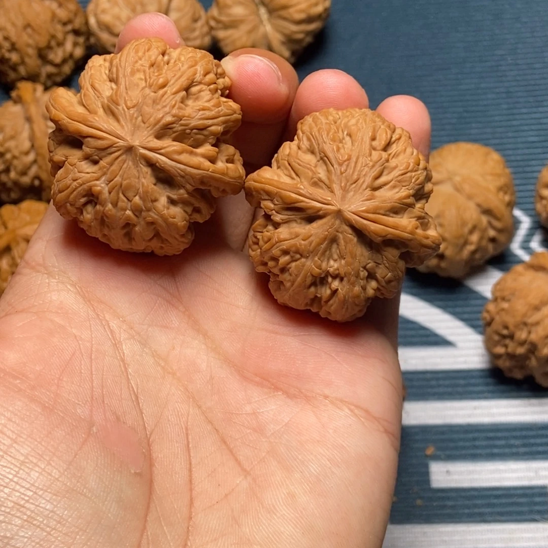 40尺全品小球筋白茬