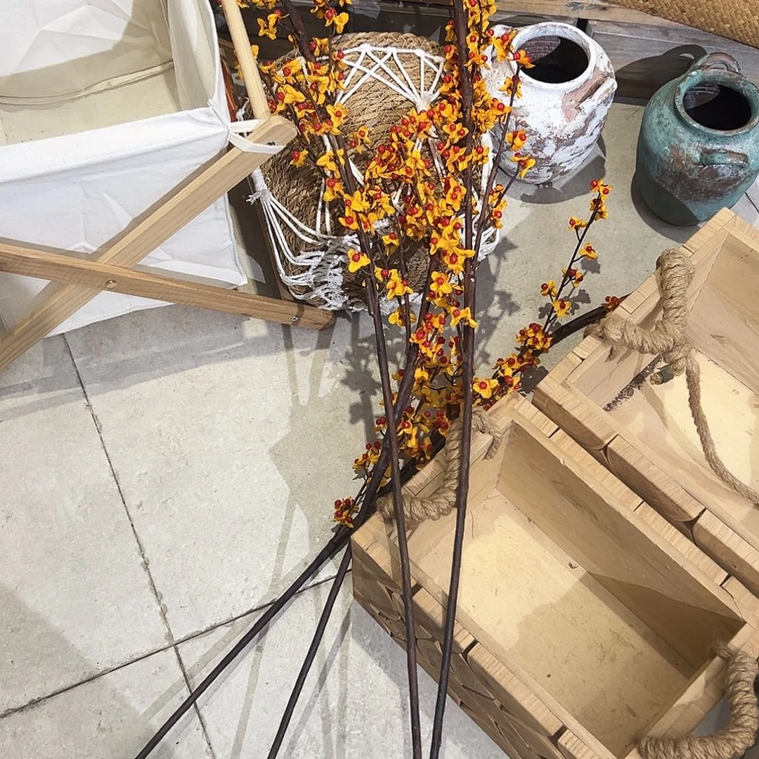 抖音直播福利四只1.8米