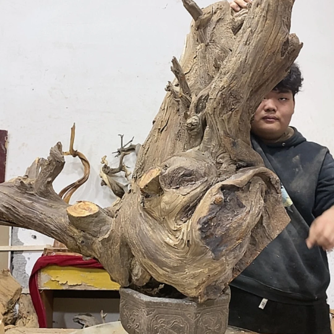 【闪购商品】柏木乐*我们都在努力着