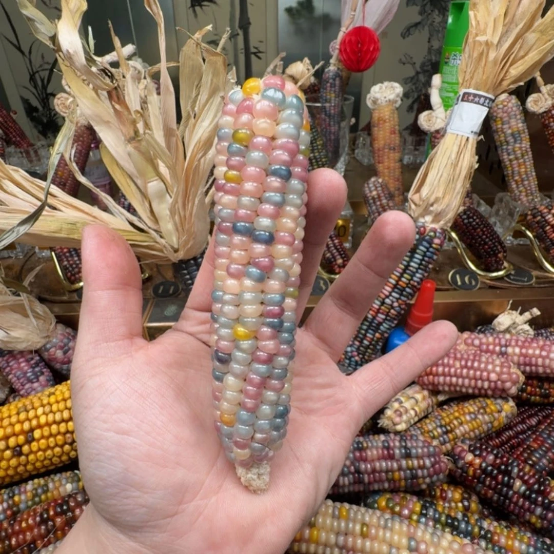 柏香籽/百香籽吊坠李**.