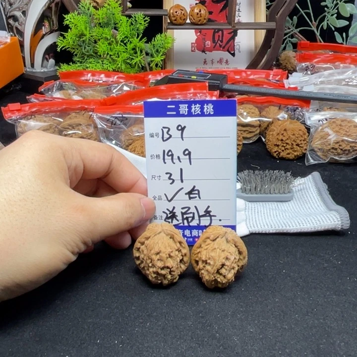 文玩核桃把件白狮子