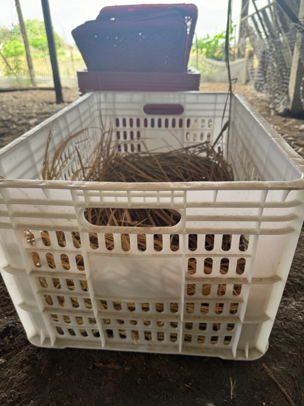 小林【补差价专用】塑料收纳筐简约储物