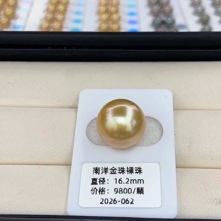 海水珍珠裸珠金珠16-17