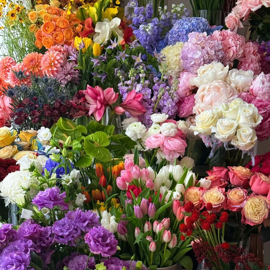 【云南爆品鲜花组合】【高原红+浪漫沙滩+弗洛伊德】单头玫瑰 鲜切花