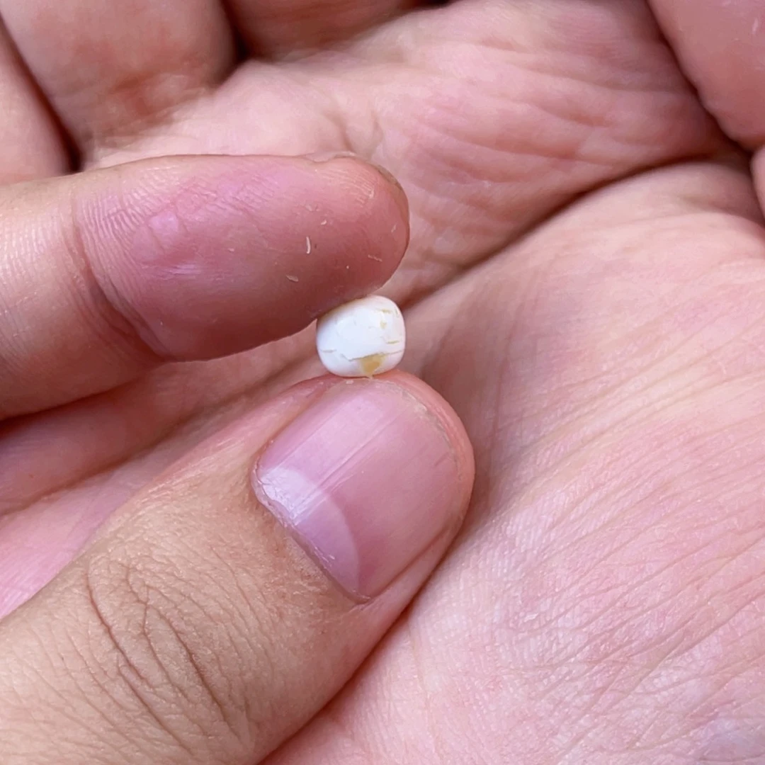 琥珀珠宝奇石未镶嵌染****作