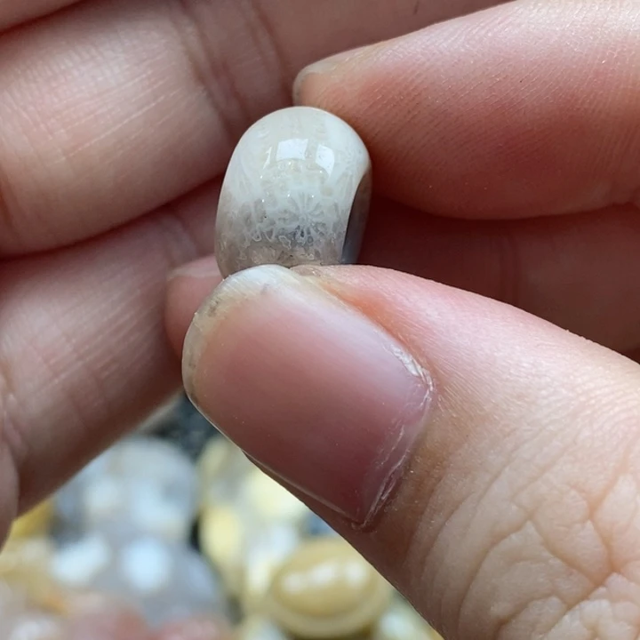 硅化珊瑚（珊瑚玉）未镶嵌颈饰肖****）