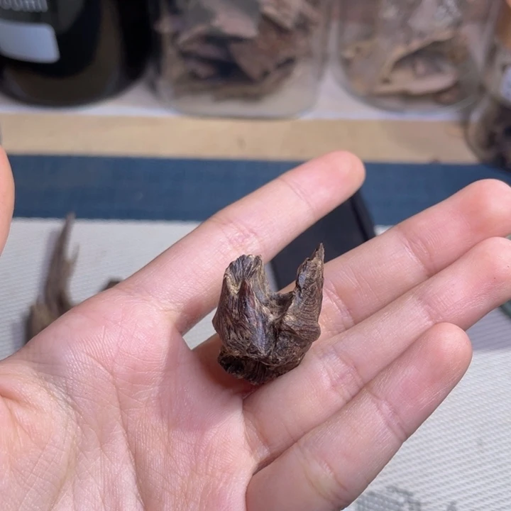 香料老惠安沉水树丁香3.2克