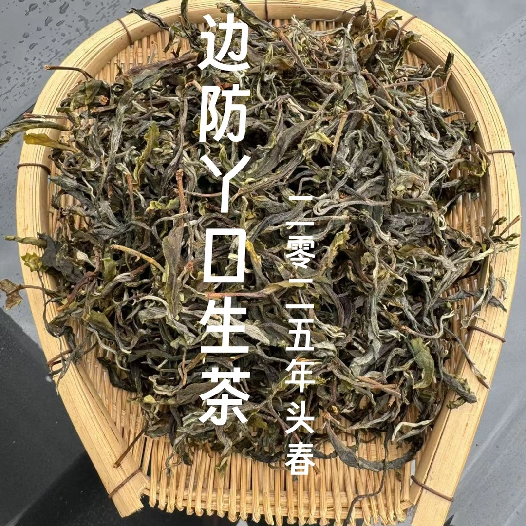 25年 边防丫口单株混采 头春古树普洱生茶散茶