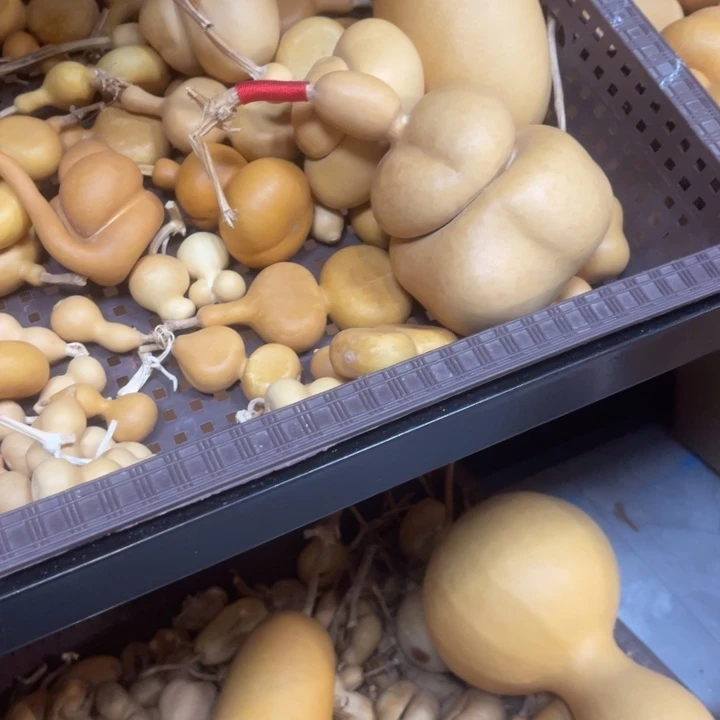 天***音健健康康快快乐乐