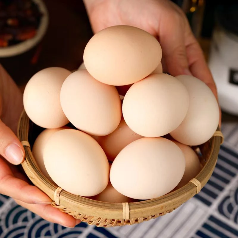 【新鲜鸡蛋】农家散养林间新鲜鸡蛋营养丰富50枚单颗40g - 50g