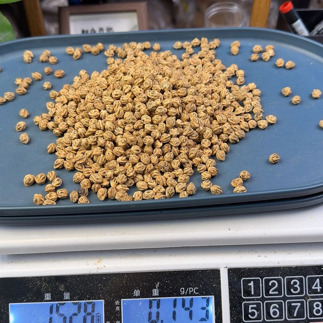 l***r柏香籽/百香籽吊坠7+150克XB115