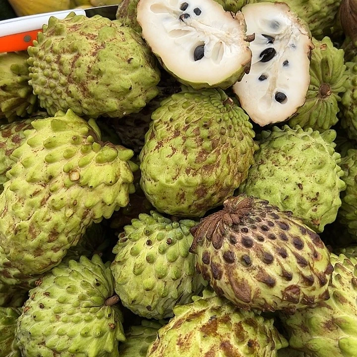 中国大陆释迦果5斤