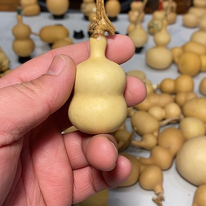 r****湿精品葫芦手把葫芦14